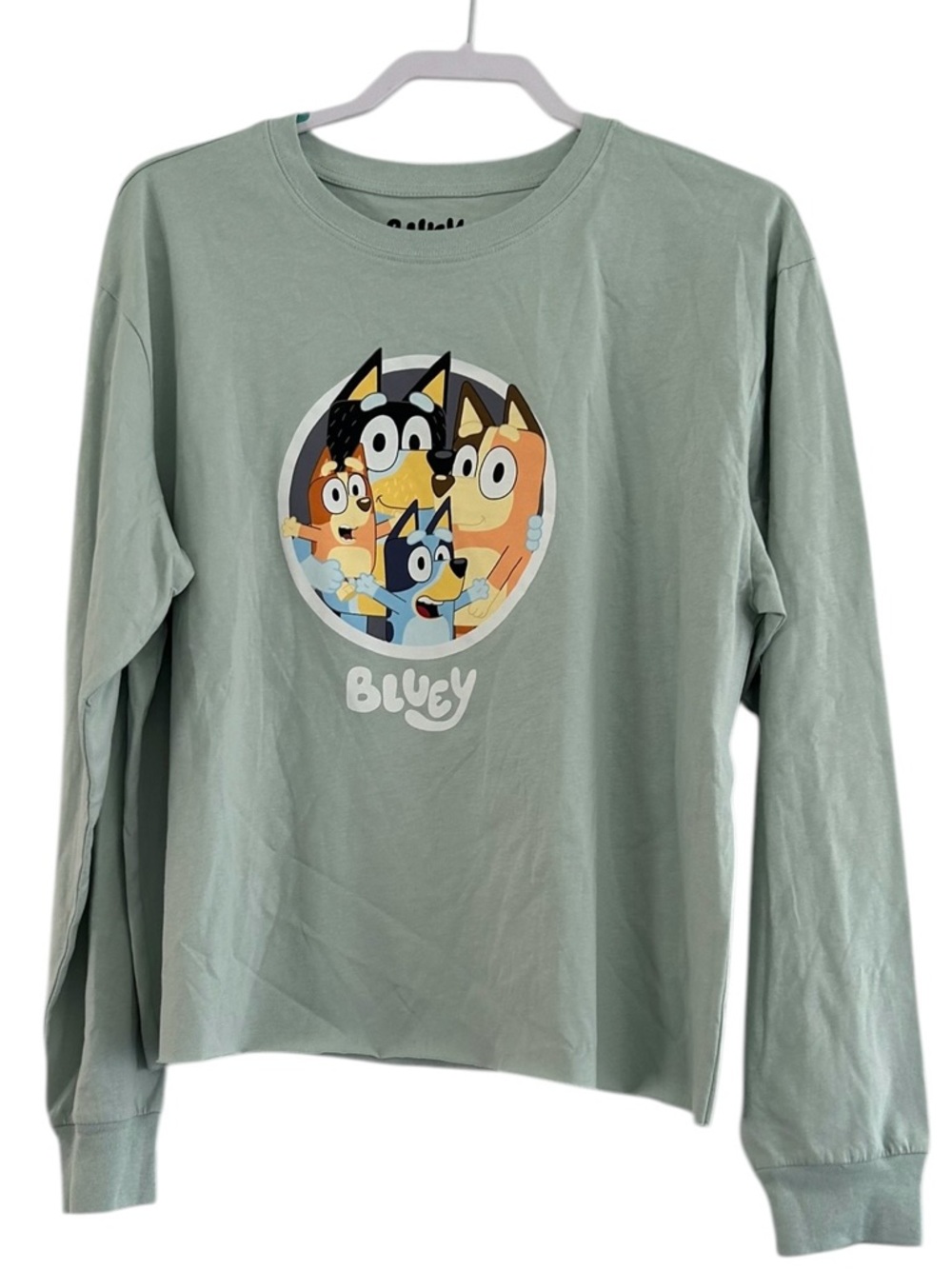 Bluey Family Circle Long Sleeve Tee - Sage Green Adult XL Officially Licensed